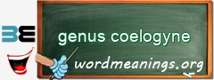 WordMeaning blackboard for genus coelogyne